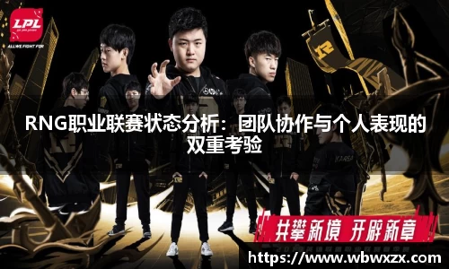 RNG职业联赛状态分析：团队协作与个人表现的双重考验